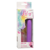 Bliss Liquid Silicone Mini Vibe Purple 10-Speed 4-Inch Vibrator BULLETS
